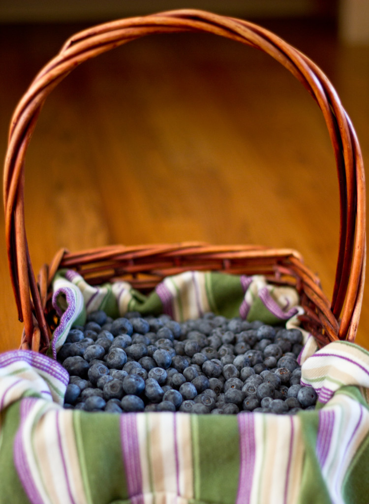 basket full of blue beauty