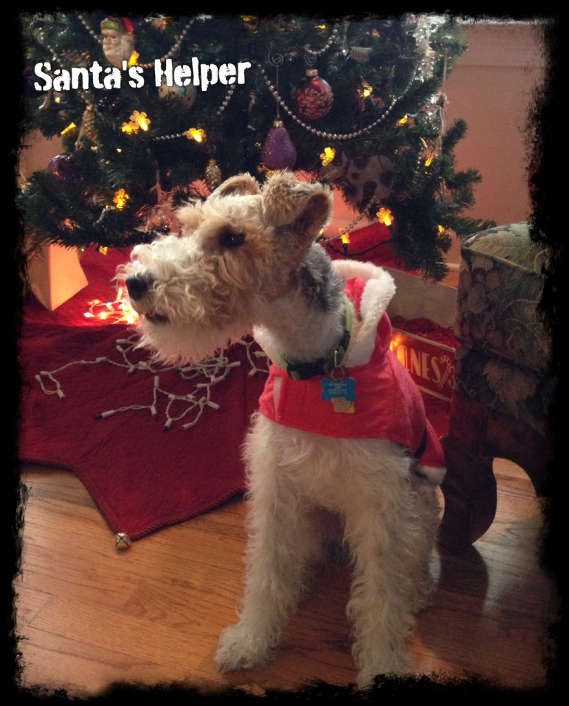 santahelper