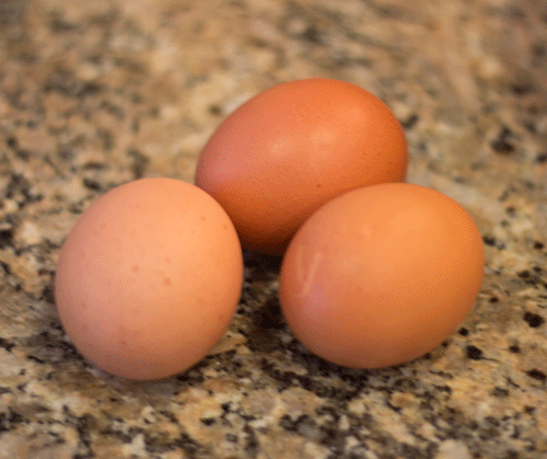 eggs3