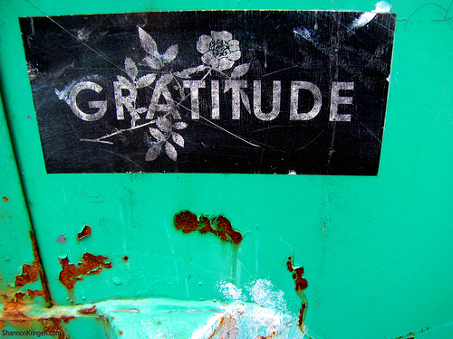 gratitude photo