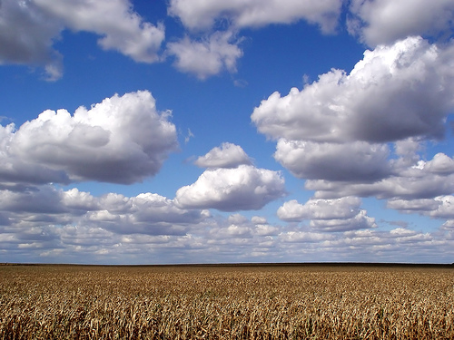 iowa photo