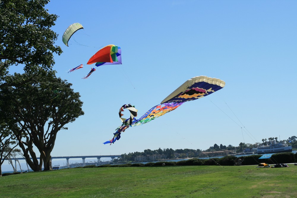 Kites