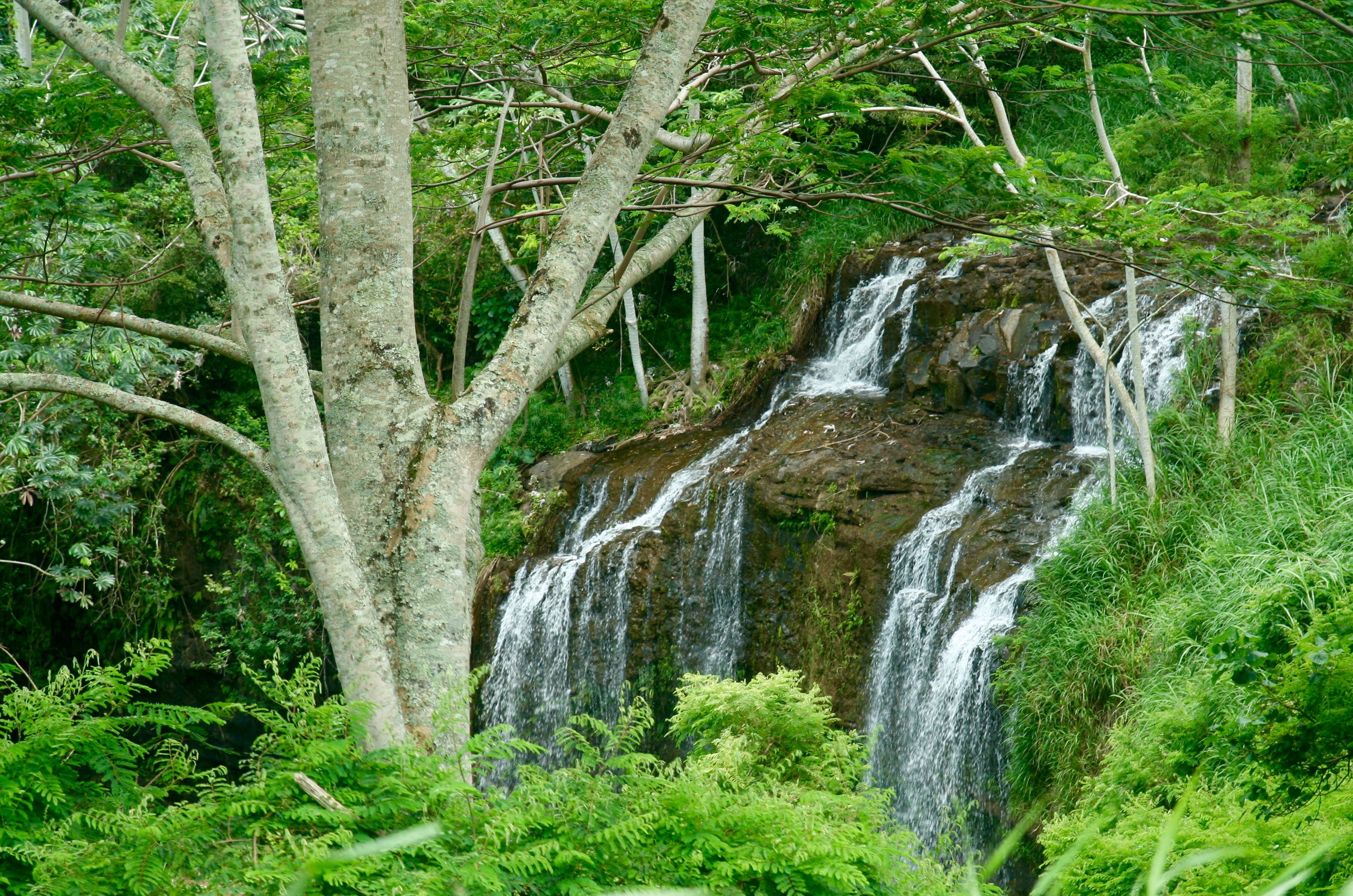 waterfall